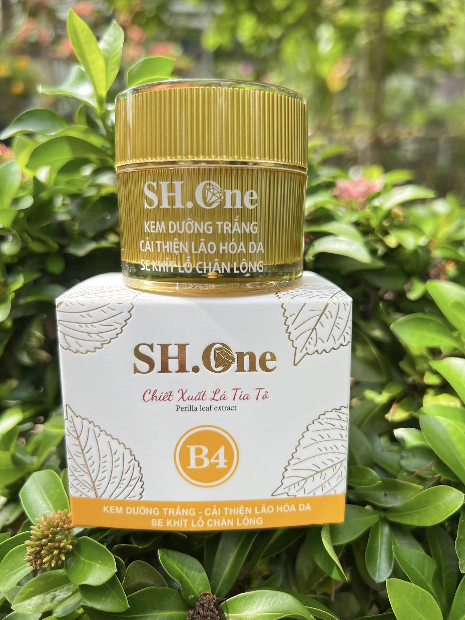 Đây là dòng kem lí tưởng cho những chị em muốn sử dụng Sản phẩm bình dân Đây là dòng kem lí tưởng cho những chị em muốn sử dụng Sản phẩm bình dân