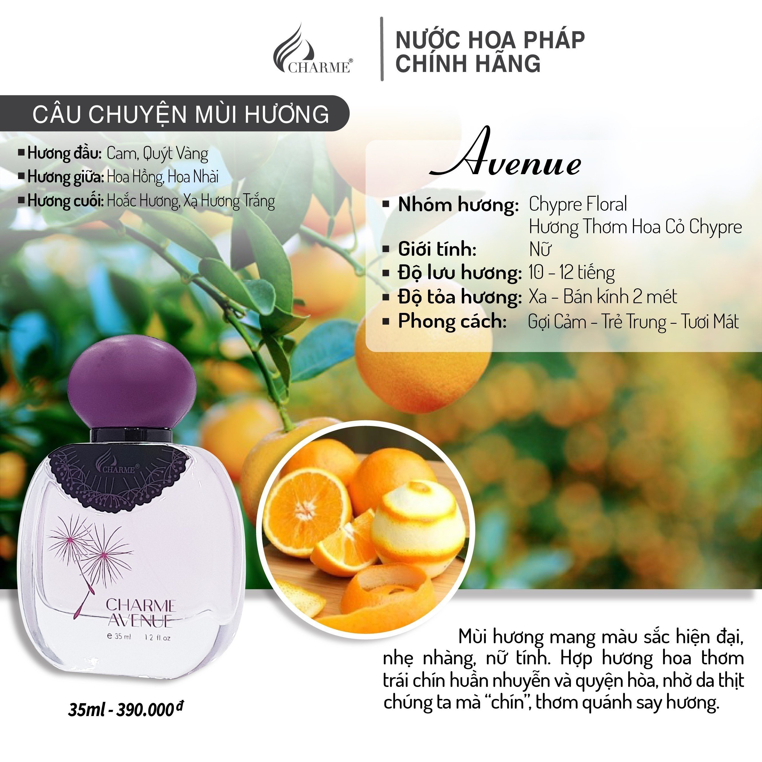Charme Avenue là mùi hương tấm gương phản chiếu vẻ đẹp hiện tại Charme Avenue là mùi hương tấm gương phản chiếu vẻ đẹp hiện tại