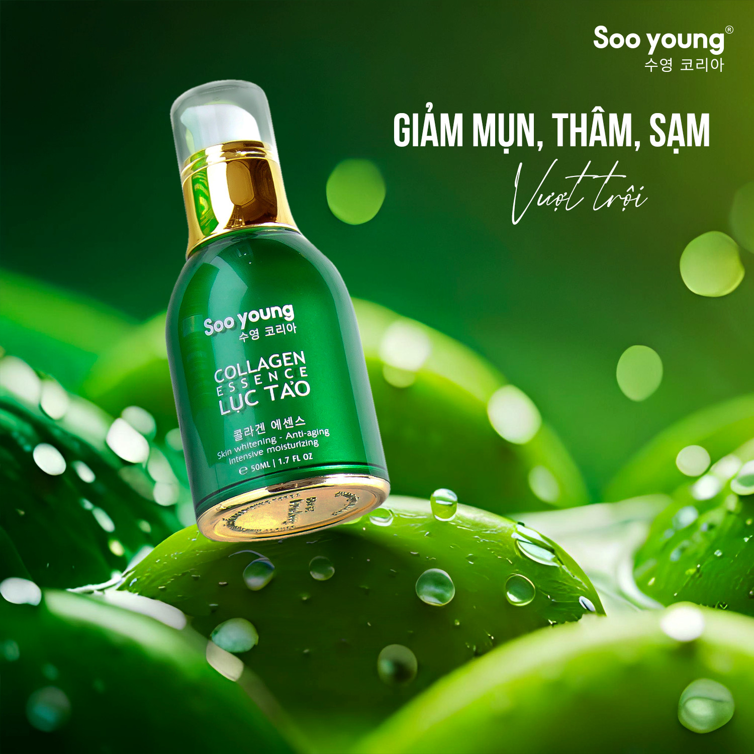 Collagen Essence Lục Tảo nhà Sooyoung bảo bối cho làn da không tuổi Collagen Essence Lục Tảo nhà Sooyoung bảo bối cho làn da không tuổi