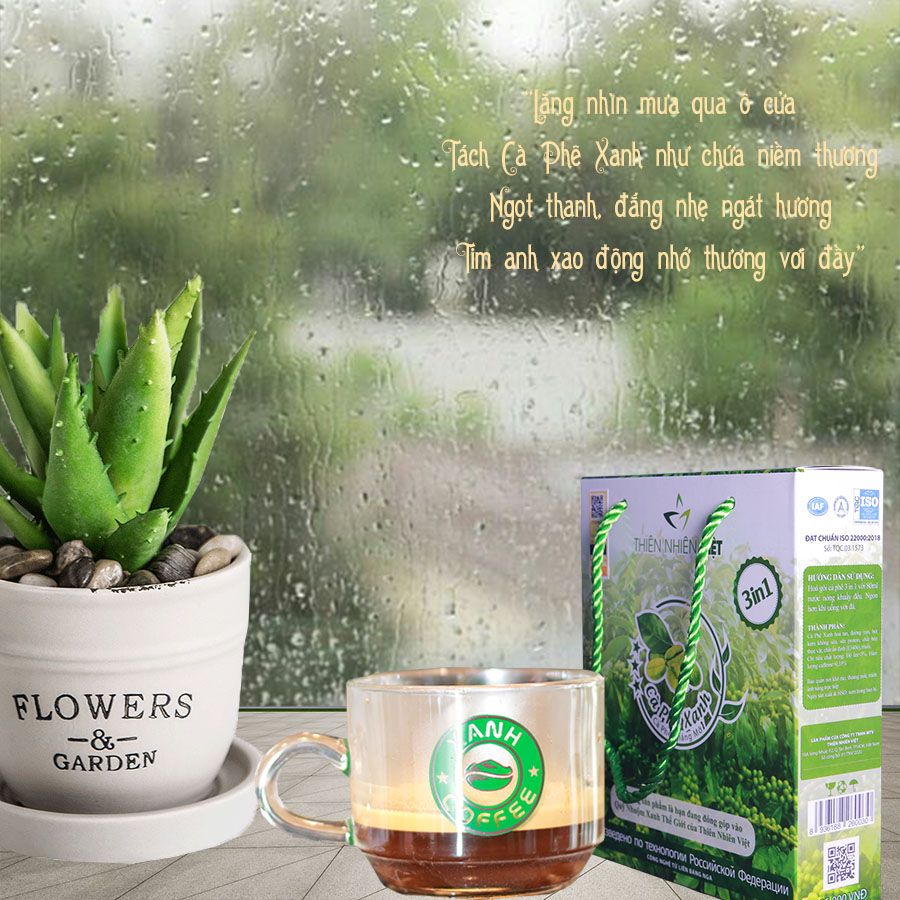 Cà phê Xanh bên cạnh những ngày mưa hè