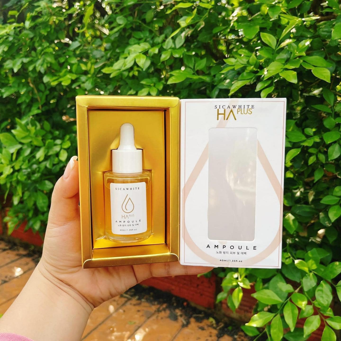 Món quà thiên nhiên dành cho da Serum HA Ampoule SiCa White