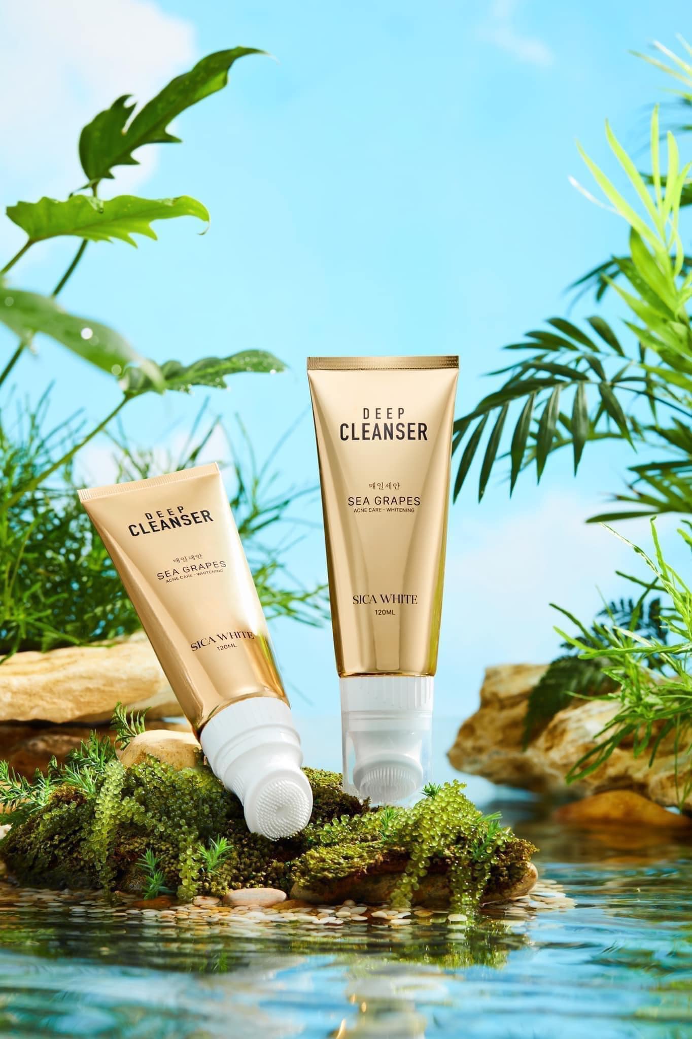 Sạch sâu sáng da mịn da với sữa rửa mặt SiCa White Sạch sâu sáng da mịn da với sữa rửa mặt SiCa White