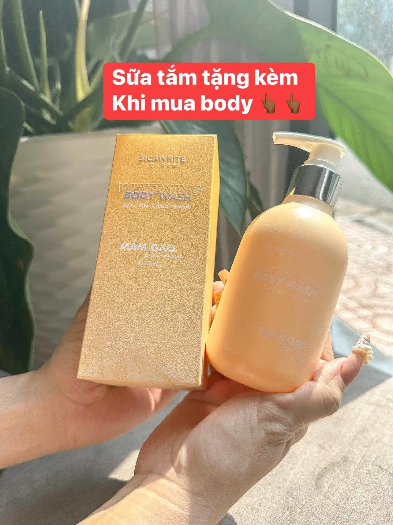 Mê mệt với chất kem Body mần gạo của SiCa thấm nhanh không nhờn rít Mê mệt với chất kem Body mần gạo của SiCa thấm nhanh không nhờn rít