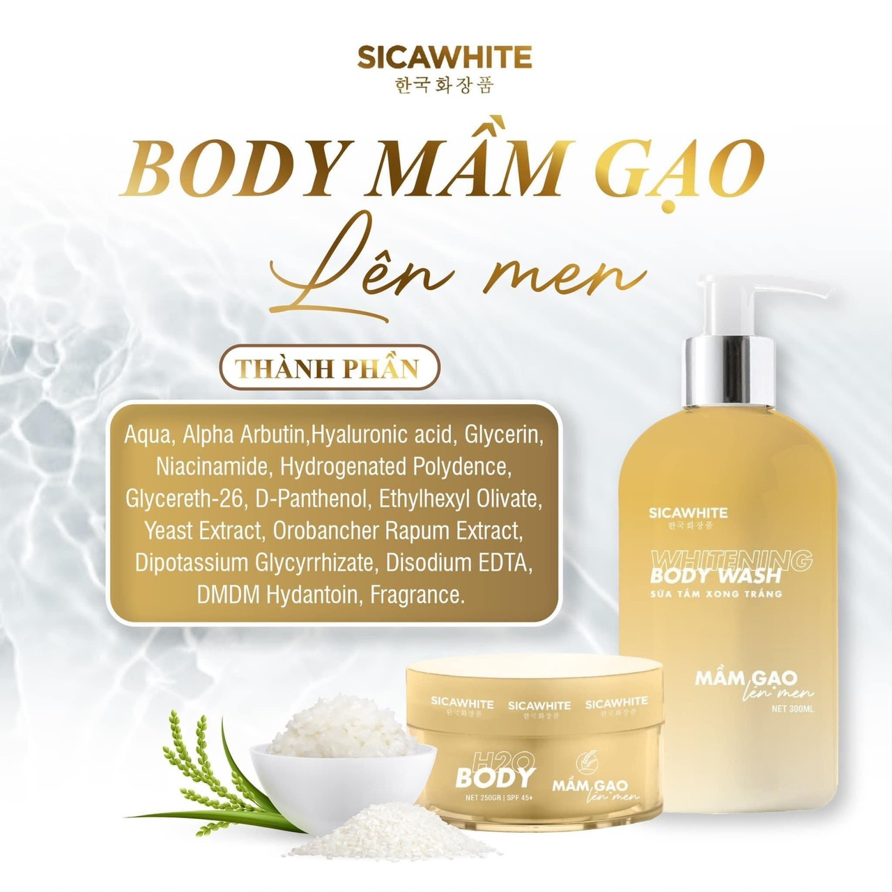 Chờ em Body lâu nay cuối cùng cũng lộ diện chính thức ra mắt Body Mần Gạo Lên Men Chờ em Body lâu nay cuối cùng cũng lộ diện chính thức ra mắt Body Mần Gạo Lên Men