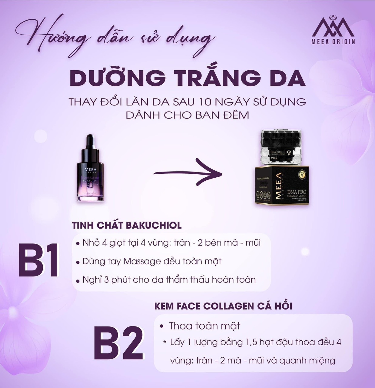 lão hóa ngược chỉ với combo Kem Face DNA cá hồi V2 và Ampoule Bakuchiol lão hóa ngược chỉ với combo Kem Face DNA cá hồi V2 và Ampoule Bakuchiol