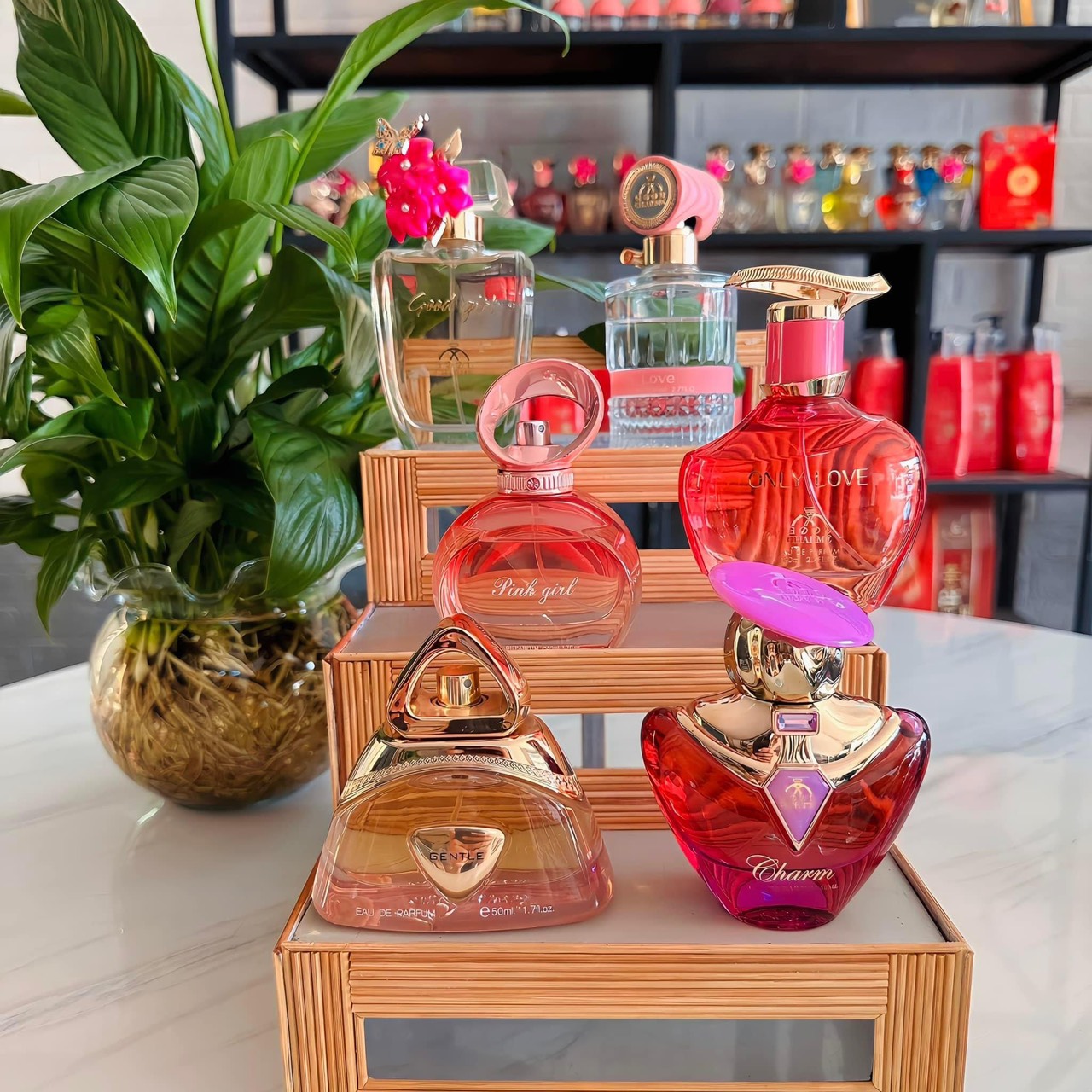 Những mã good charme bên em Những mã good charme bên em