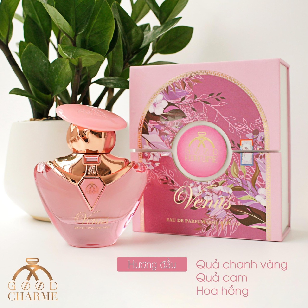 GoodCharme Venus quý cô thanh lịch vạn người mê GoodCharme Venus quý cô thanh lịch vạn người mê