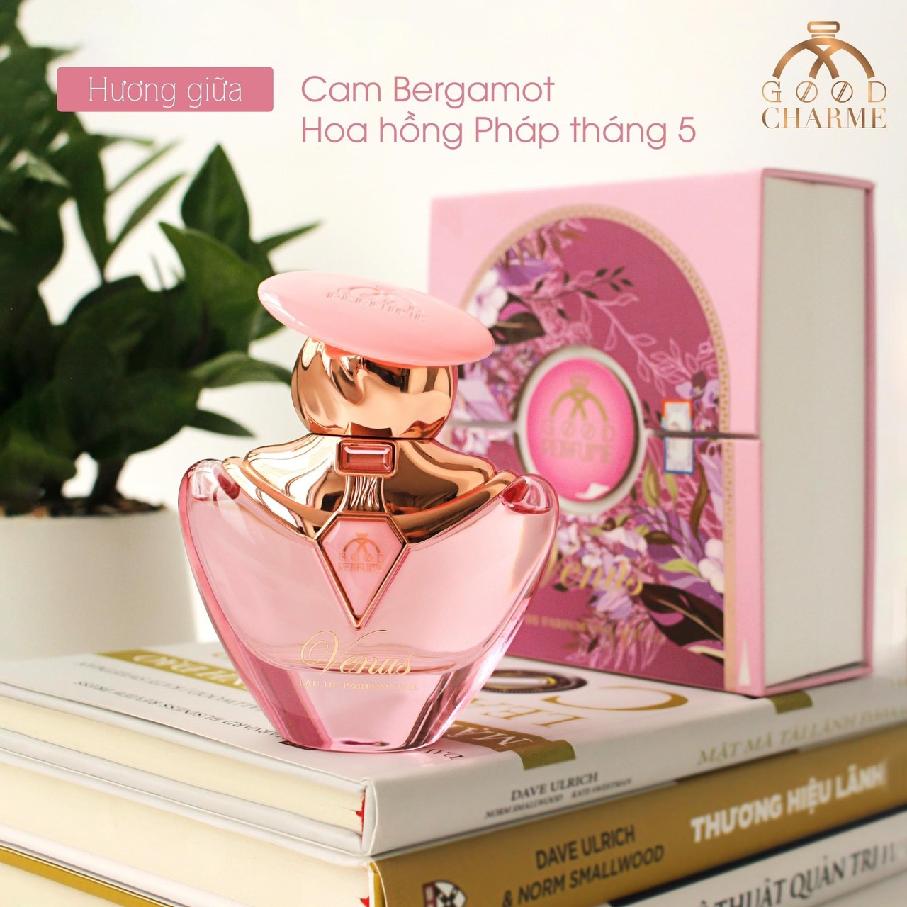 GoodCharme Venus quý cô thanh lịch vạn người mê GoodCharme Venus quý cô thanh lịch vạn người mê