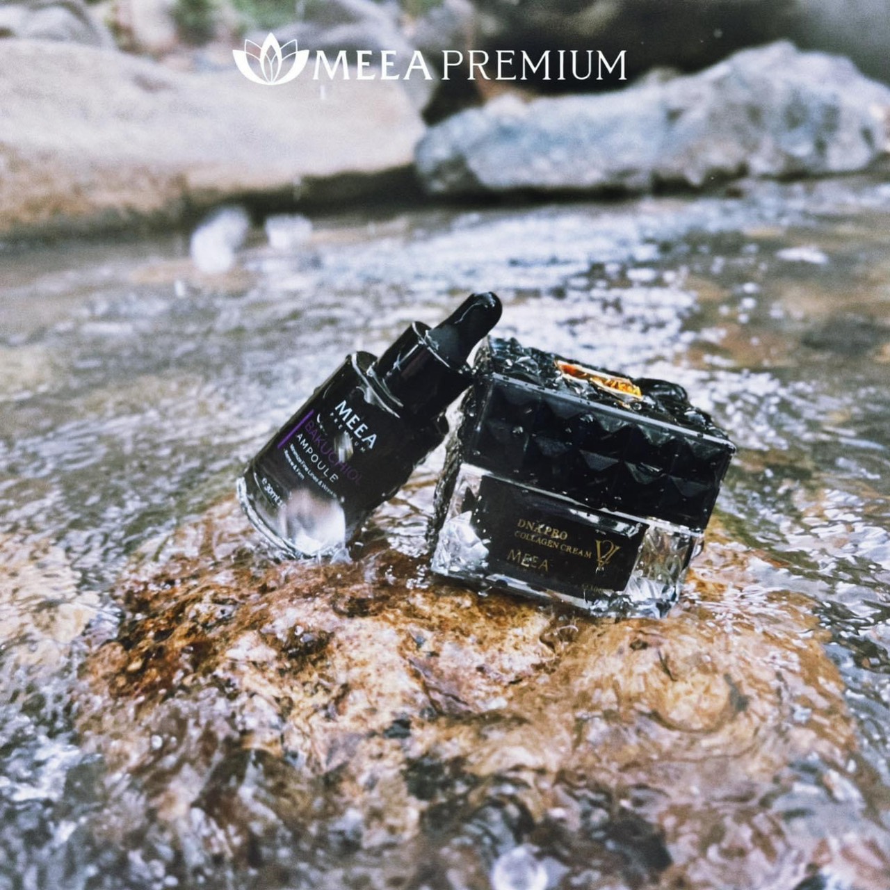 Chào sáng combo Face VER 2 DHA cá hồi Chào sáng combo Face VER 2 DHA cá hồi