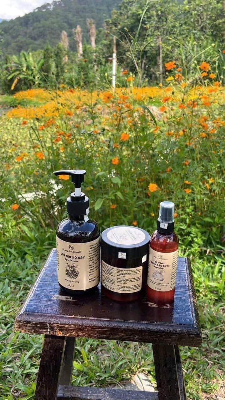 Ở đây có ai muốn tóc đẹp không ạ muốn tóc mình đẹp tha hồ tạo kiểu thì bước đầu tiên tóc phải khỏe đã nhé Ở đây có ai muốn tóc đẹp không ạ muốn tóc mình đẹp tha hồ tạo kiểu thì bước đầu tiên tóc phải khỏe đã nhé