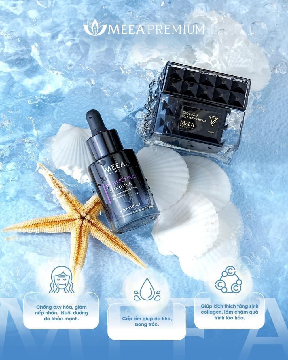 Bí mật làn da căng bóng sau 1 đêm gói gọn trong Combo Kem Face cá hồi ver2 + Bakuchiol Ampoule Bí mật làn da căng bóng sau 1 đêm gói gọn trong Combo Kem Face cá hồi ver2 + Bakuchiol Ampoule