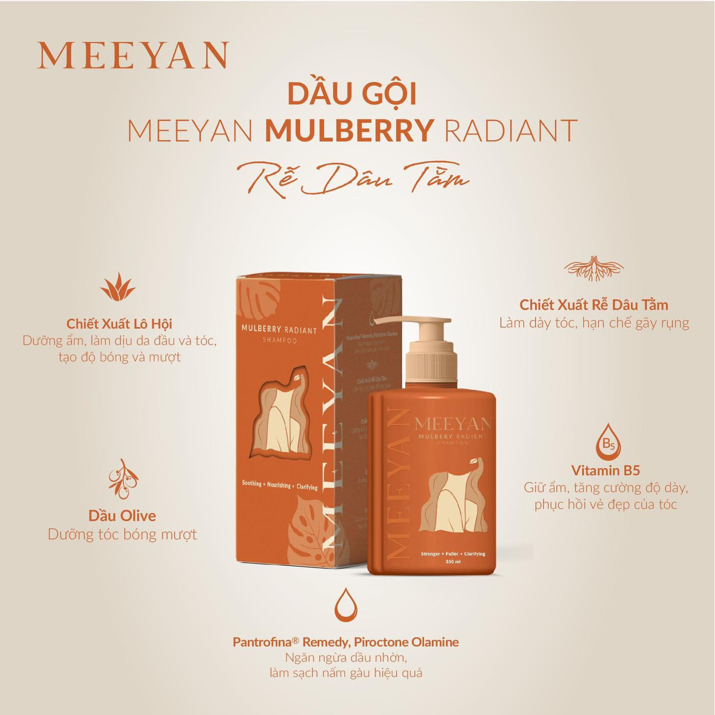 Dầu Gội Rễ Dâu Tằm MEEYAN Mulberrry Radiant Shampoo