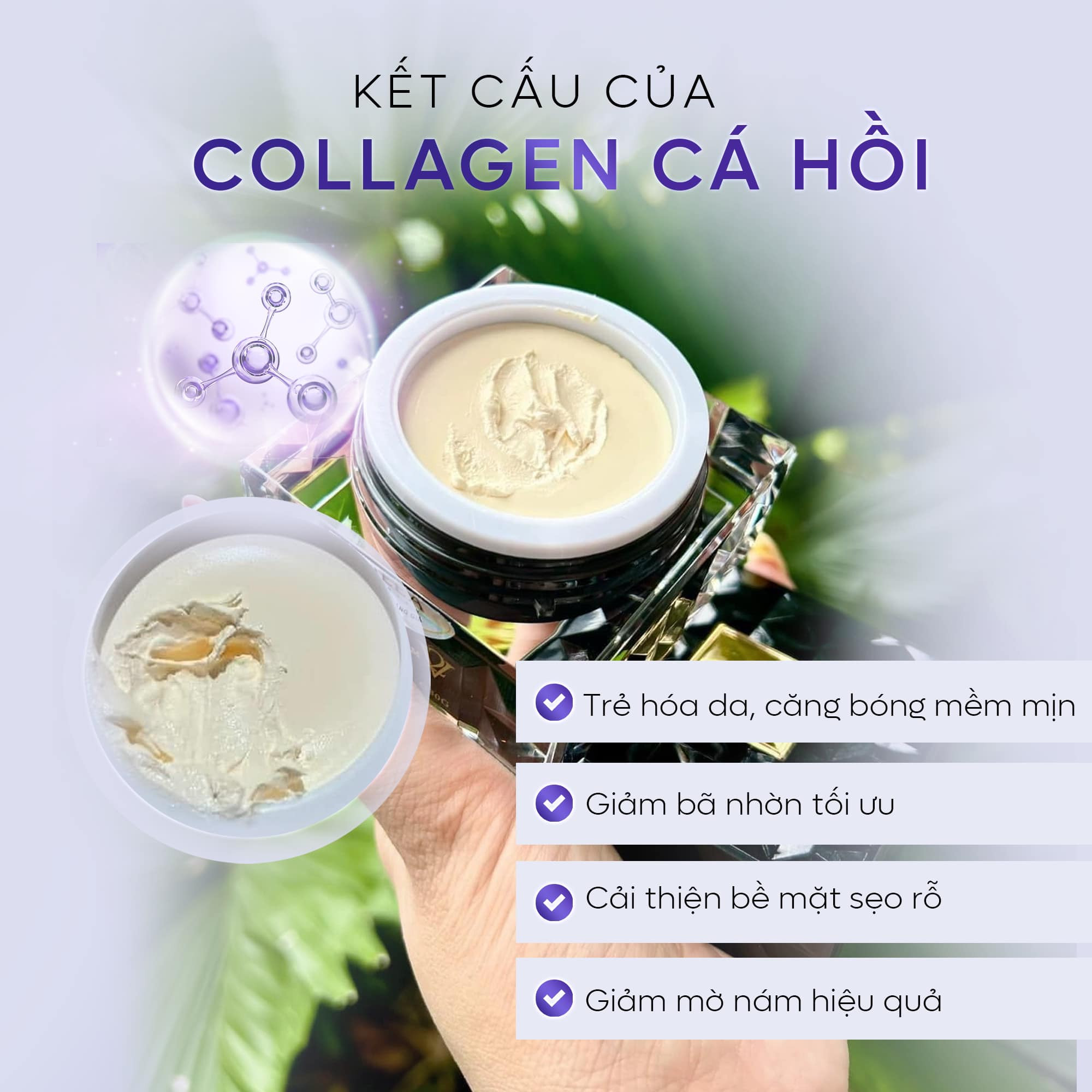 Combo Dưỡng Da Face Cá Hồi DNA Pro V2 Lớn + Serum Bakuchiol Ampoule V2 Lớn Meea Orgin Combo Dưỡng Da Face Cá Hồi DNA Pro V2 Lớn + Serum Bakuchiol Ampoule V2 Lớn Meea Orgin