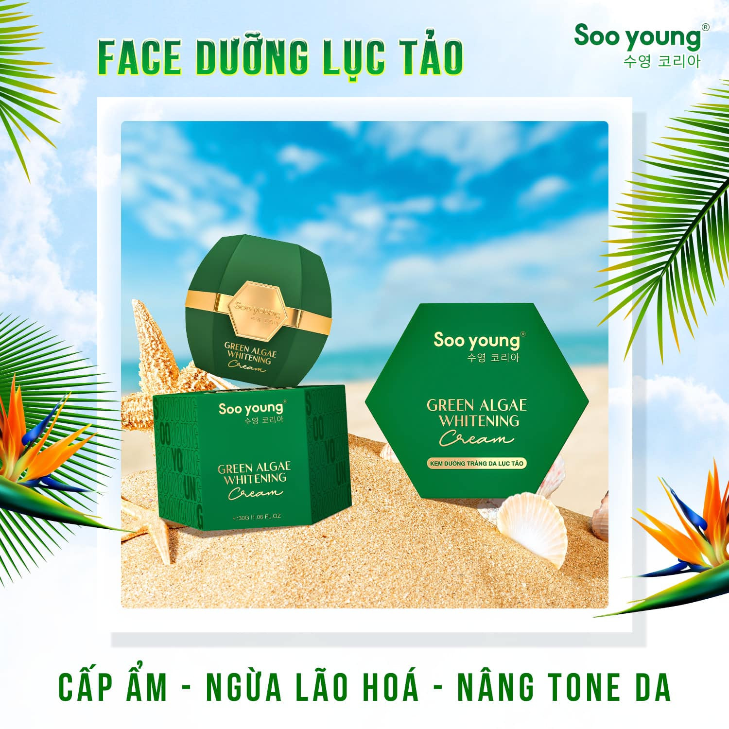 𝐓𝐈𝐍𝐇 𝐓𝐔́𝐘 𝐓𝐇𝐈𝐄̂𝐍 𝐍𝐇𝐈𝐄̂𝐍 𝐇𝐎̀𝐀 𝐌𝐈̀𝐍𝐇 𝐓𝐑𝐎𝐍𝐆 𝐓𝐔̛̀𝐍𝐆 𝐋𝐎̛́𝐏 𝐊𝐄𝐌 𝐃𝐔̛𝐎̛̃𝐍𝐆 𝐋𝐔̣𝐂 𝐓𝐀̉𝐎 𝐓𝐈𝐍𝐇 𝐓𝐔́𝐘 𝐓𝐇𝐈𝐄̂𝐍 𝐍𝐇𝐈𝐄̂𝐍 𝐇𝐎̀𝐀 𝐌𝐈̀𝐍𝐇 𝐓𝐑𝐎𝐍𝐆 𝐓𝐔̛̀𝐍𝐆 𝐋𝐎̛́𝐏 𝐊𝐄𝐌 𝐃𝐔̛𝐎̛̃𝐍𝐆 𝐋𝐔̣𝐂 𝐓𝐀̉𝐎