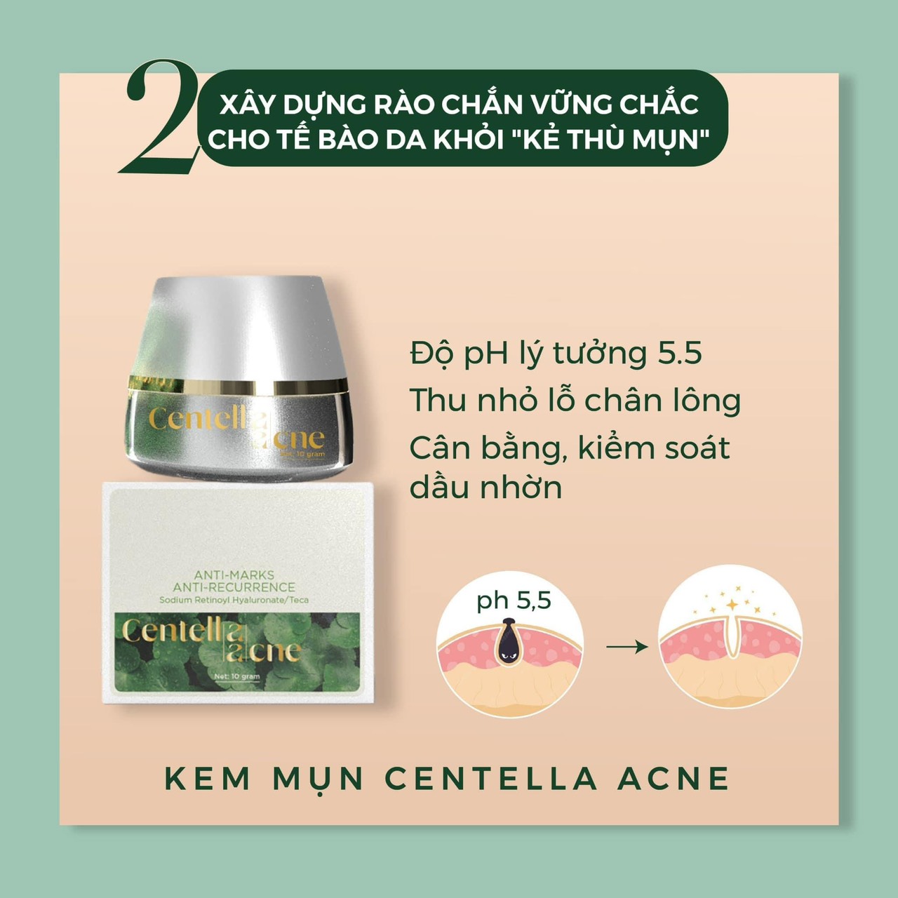 Combo giảm mụn kem Face Rau Má Centella Ance Jiuhe và Serum Acne ExTra Thanh Tô Cosmetic Combo giảm mụn kem Face Rau Má Centella Ance Jiuhe và Serum Acne ExTra Thanh Tô Cosmetic