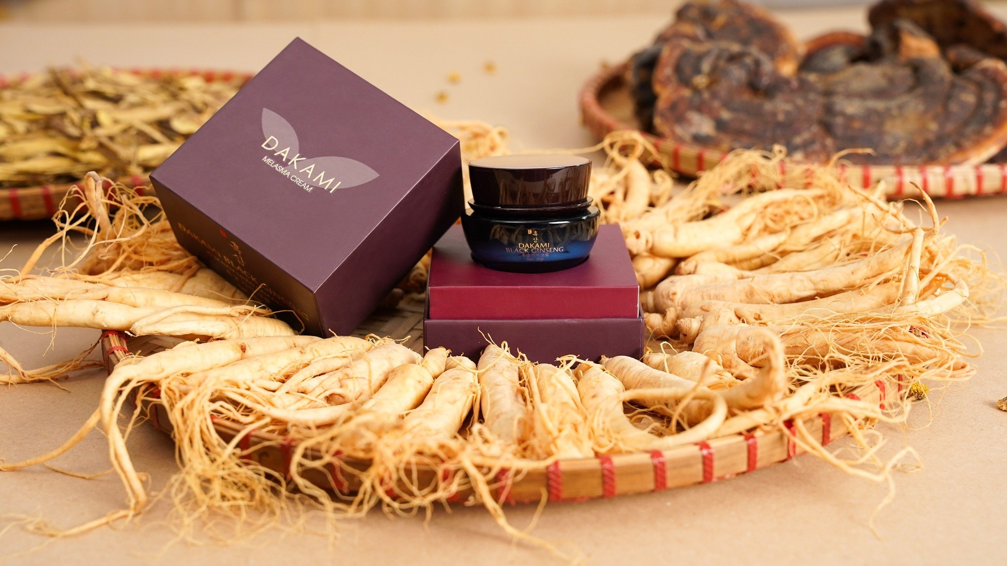 Dakami Black Ginseng Dakami Sâm đen Dakami Black Ginseng Dakami Sâm đen