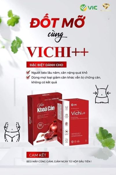 Viên Uống Giảm Cân Vichi++ VIC Organic Viên Uống Giảm Cân Vichi++ VIC Organic