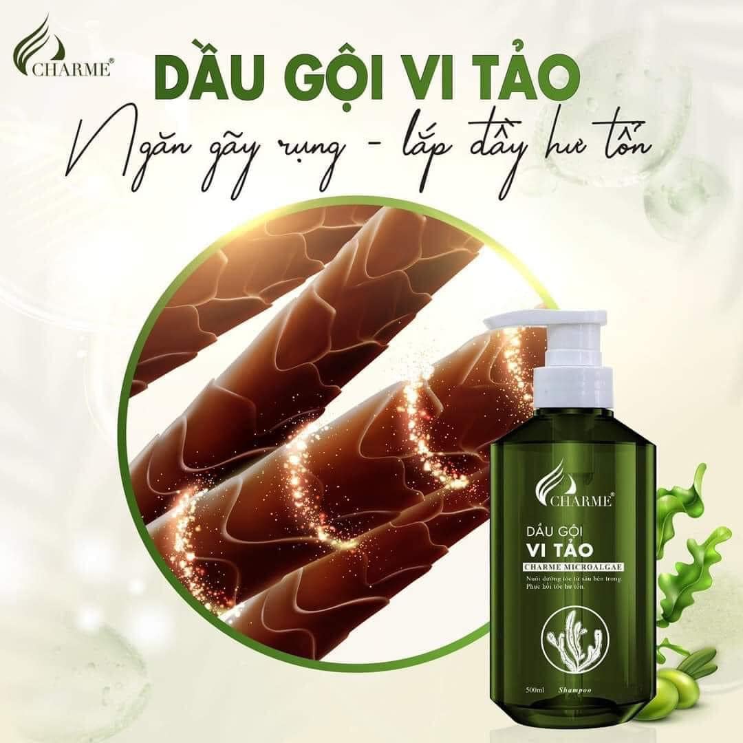 Bộ 3 dầu gội dầu xả Vi Tảo Charme lựa chọn hoàn hảo cho mái tóc Bộ 3 dầu gội dầu xả Vi Tảo Charme lựa chọn hoàn hảo cho mái tóc