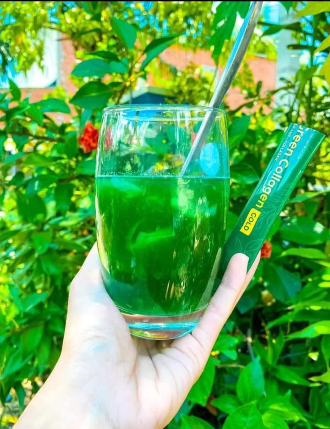 Diệp Lục Collagen Gold Hộp Lớn 30 Gói Green Family Diệp Lục Collagen Gold Hộp Lớn 30 Gói Green Family