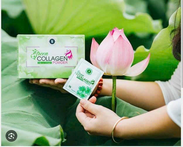 Diệp Lục Collagen Green Powder Diệp Lục Collagen Green Powder