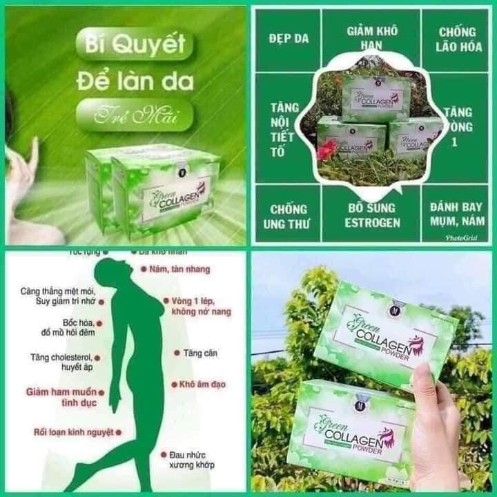 Diệp Lục Collagen Green Powder Diệp Lục Collagen Green Powder