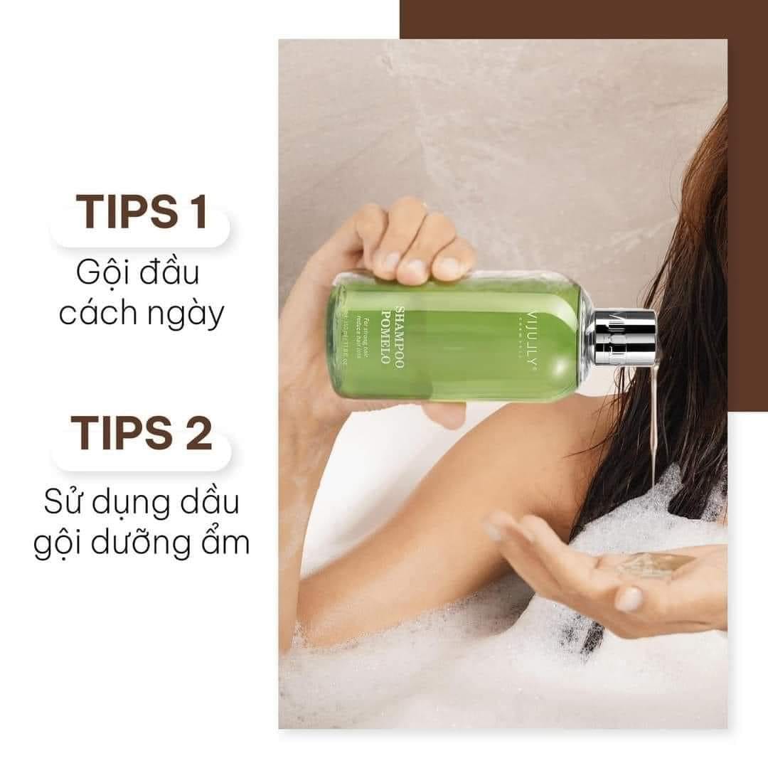 Bạn đang tìm kiếm 1 loại dầu gội chăm sóc tóc ư hãy tham khảo gội bưởi nhà Vi Jully nhé Bạn đang tìm kiếm 1 loại dầu gội chăm sóc tóc ư hãy tham khảo gội bưởi nhà Vi Jully nhé