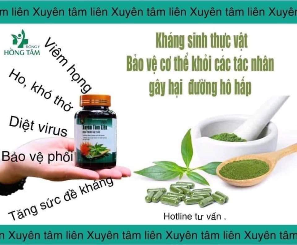 Viên uống Xuyên Tâm Liên Đông Trùng Hạ Thảo Đông Y Hồng Tâ giải pháp an toàn bảo vệ sức khoẻ gia đình Viên uống Xuyên Tâm Liên Đông Trùng Hạ Thảo Đông Y Hồng Tâ giải pháp an toàn bảo vệ sức khoẻ gia đình