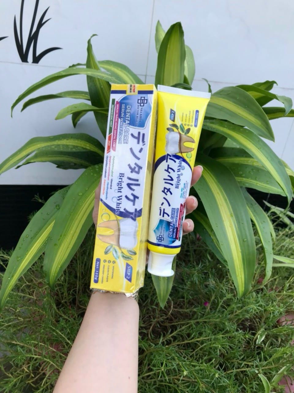 Serum trắng răng dental care + Nước xúc miệng dental care tặng 1 bột trắng răng dental care Serum trắng răng dental care + Nước xúc miệng dental care tặng 1 bột trắng răng dental care