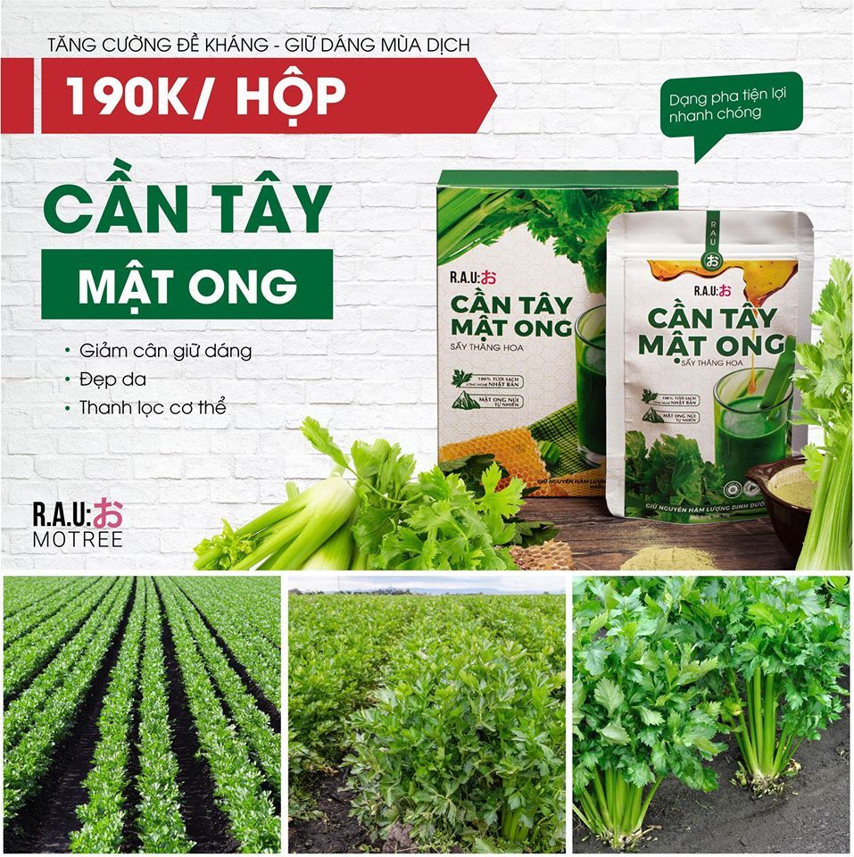 Tăng cường đề kháng - giữ dáng mùa dịch với Cần tây mật ong