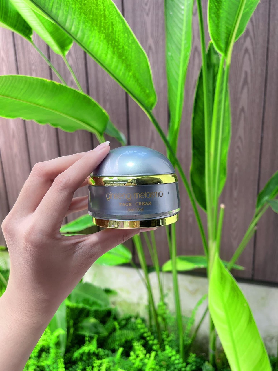 Face nám Nhân Sâm dưỡng da chuyên sâu lâu dài giúp làm mờ các vết nám tàn nhang đồi mồi