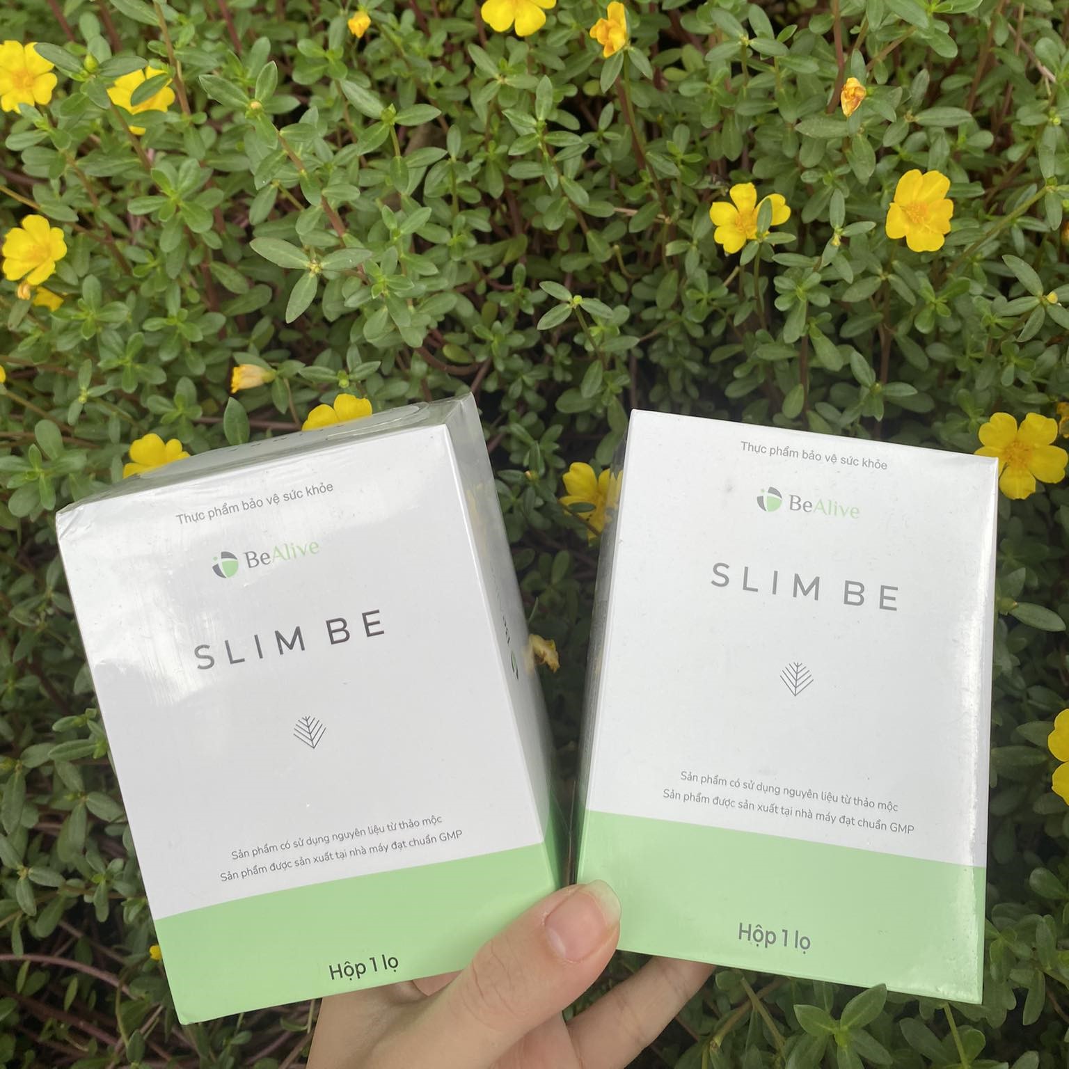 Giảm Cân Slim Be BeAlive Phiên Bản Hộp 30 viên Giảm Cân Slim Be BeAlive Phiên Bản Hộp 30 viên